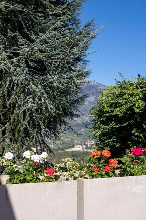Bed & Breakfast Cipriano *