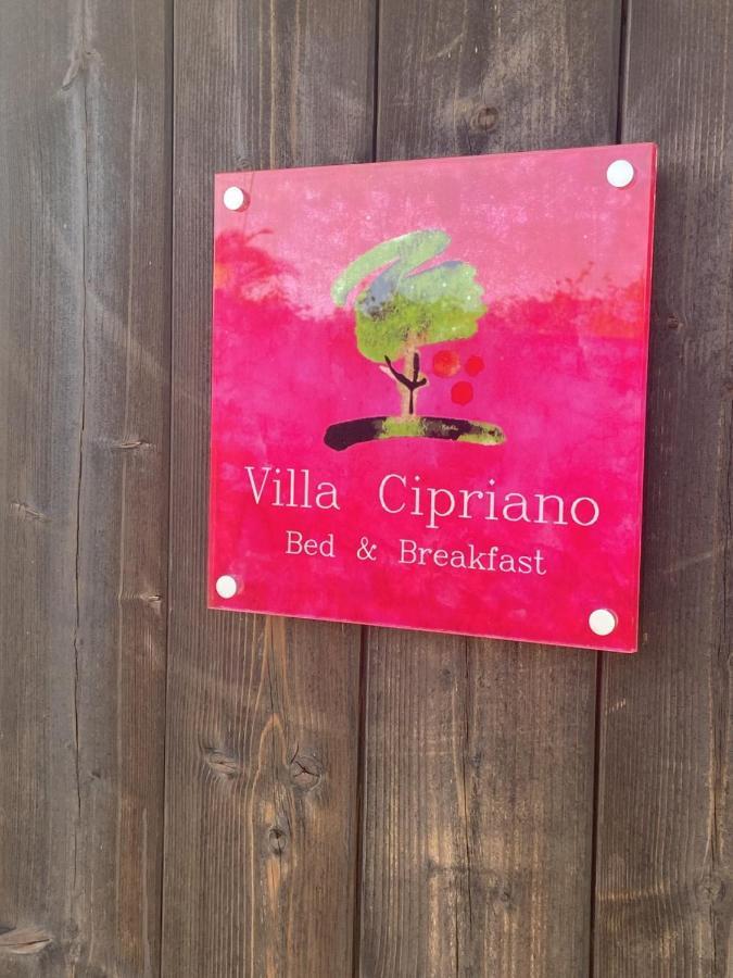 Bed & Breakfast Cipriano Minturno