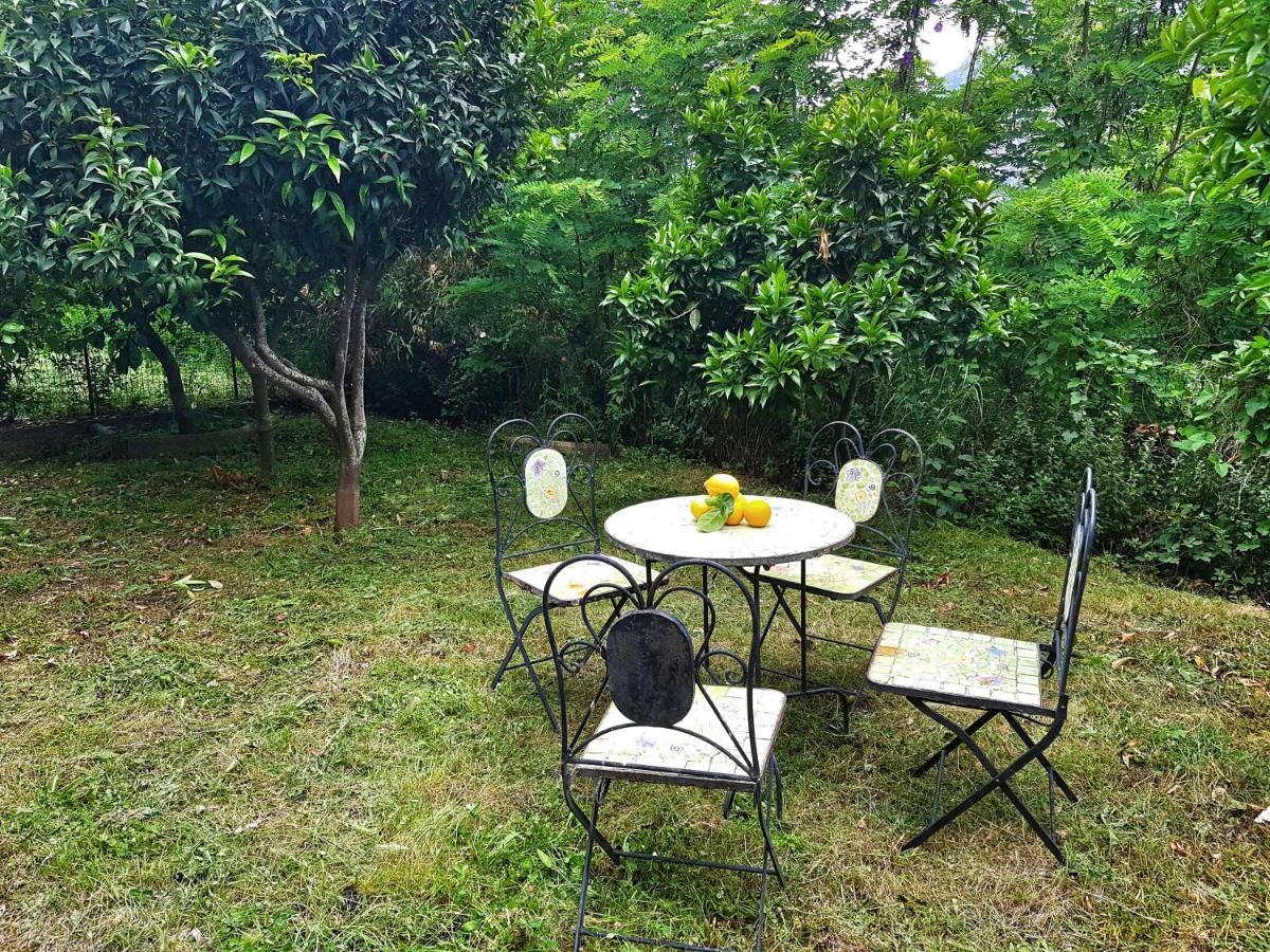 Bed & Breakfast Cipriano